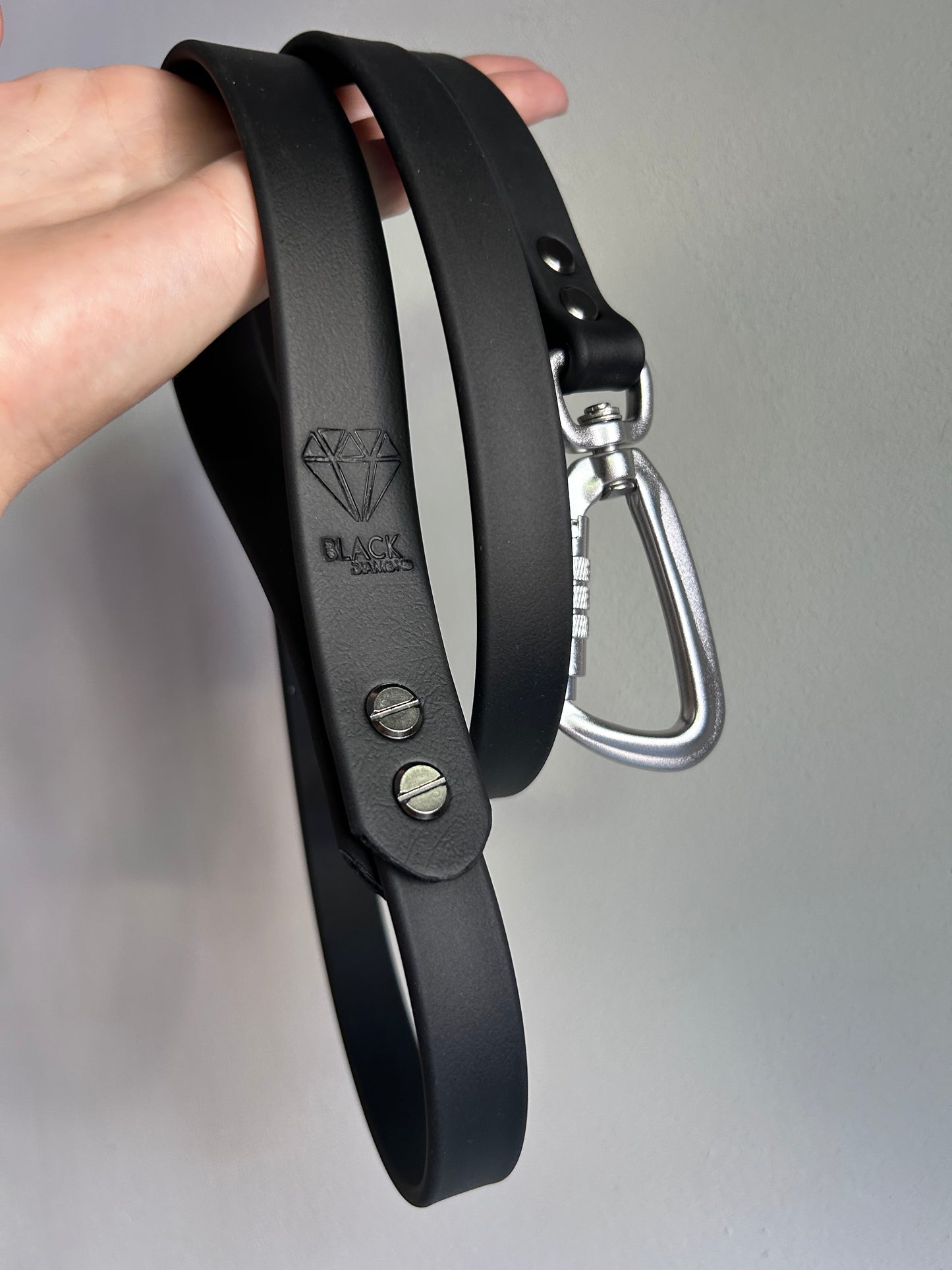 Laisse Lock