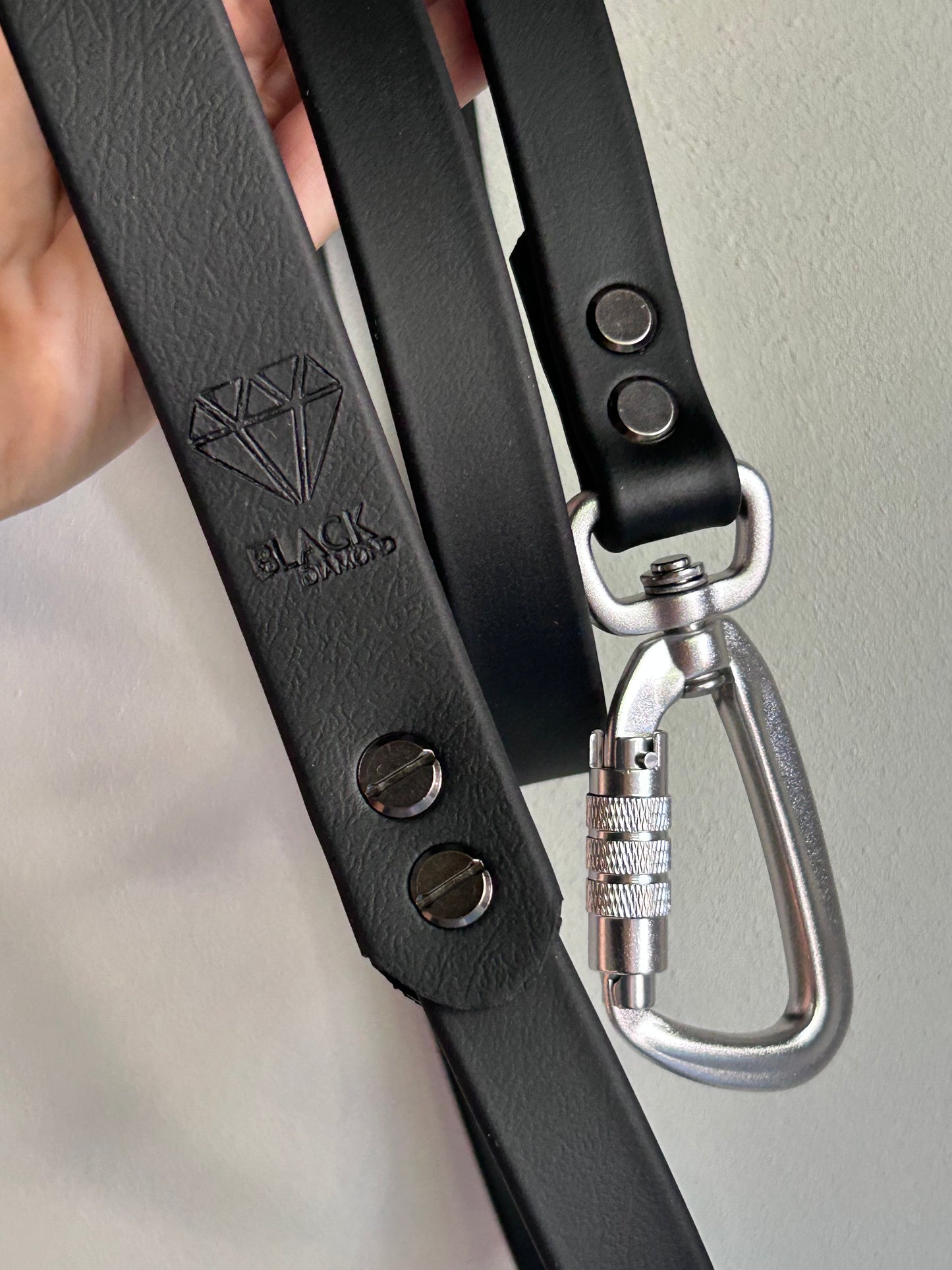 Laisse Lock