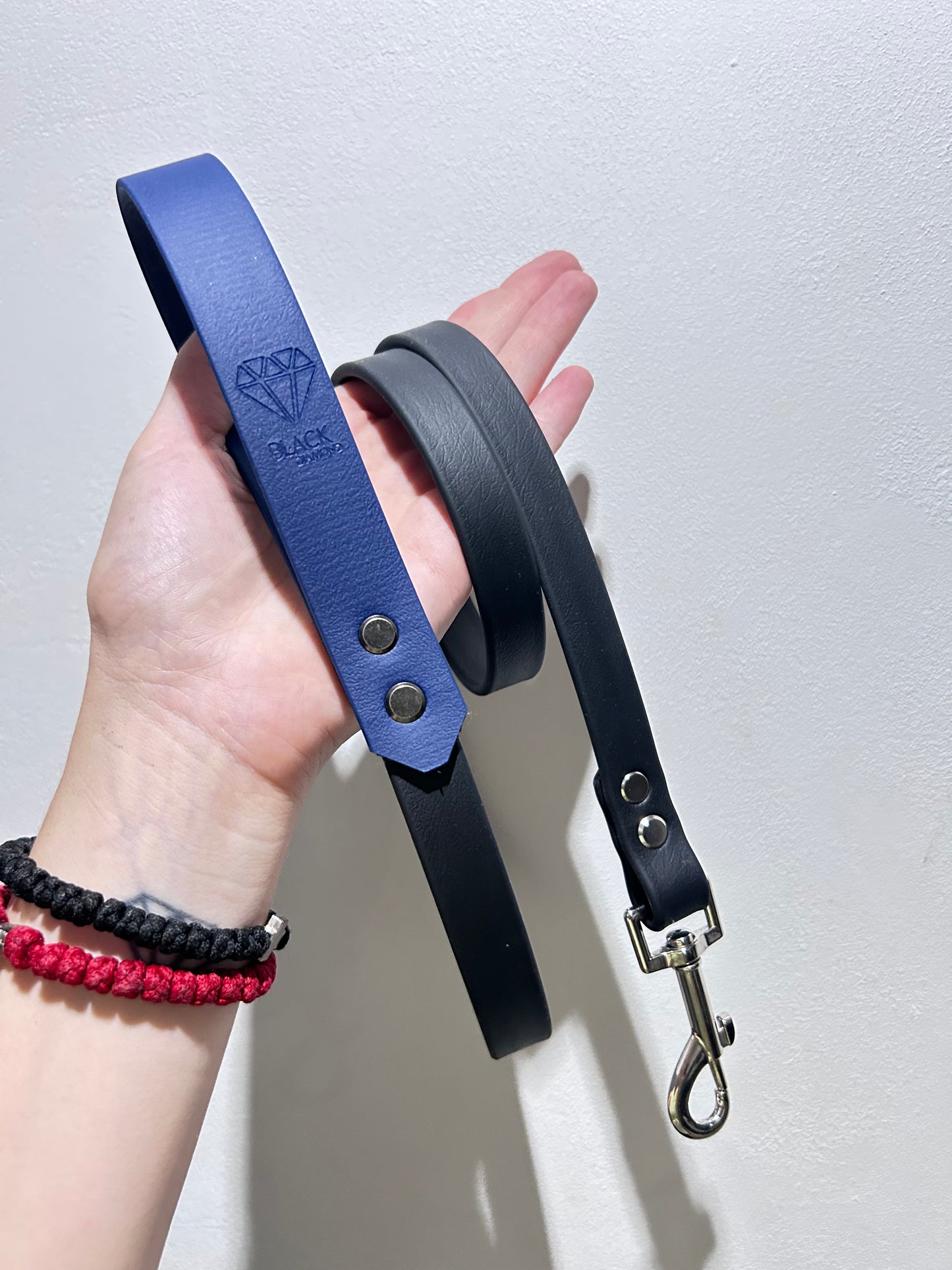 Laisse classique bleu
