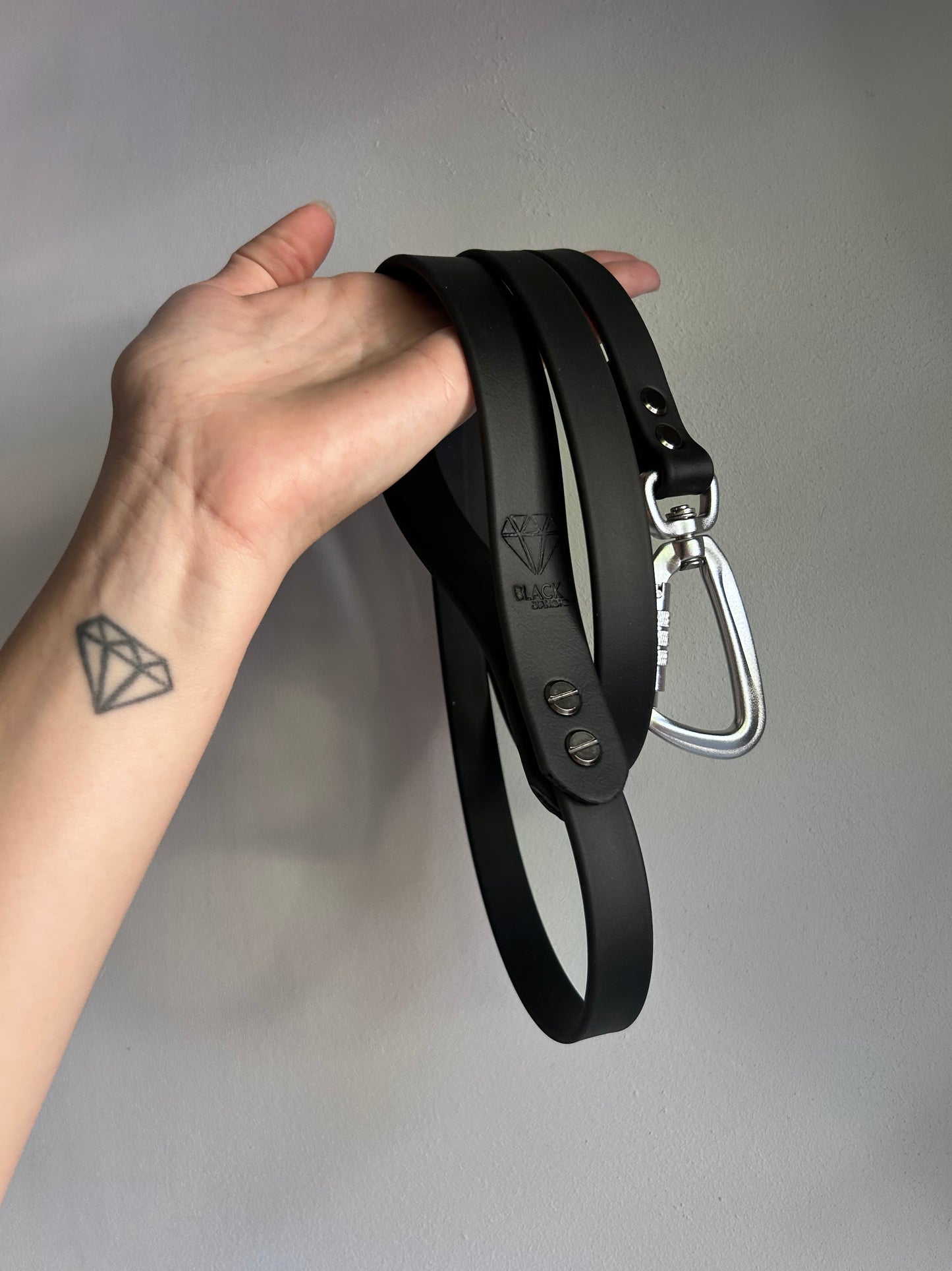 Laisse Lock