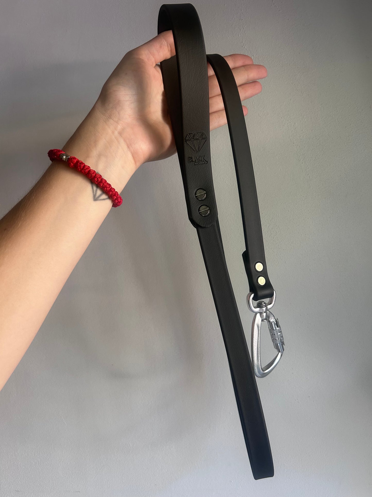 Laisse Lock