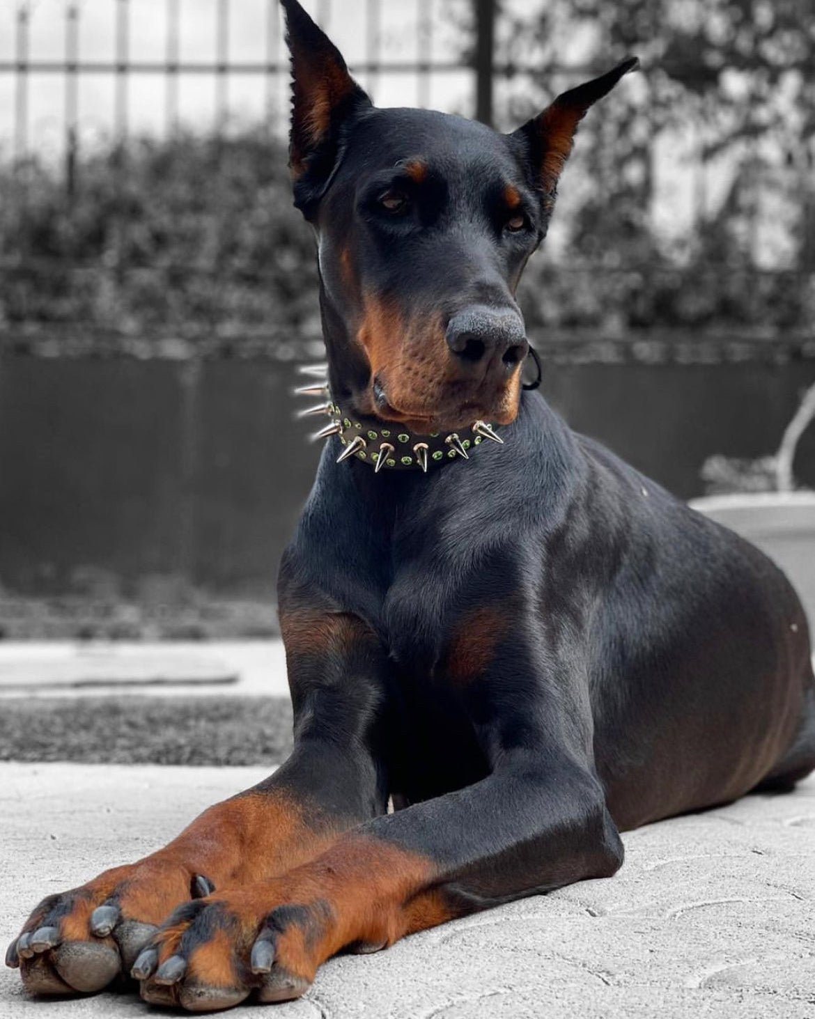Spike