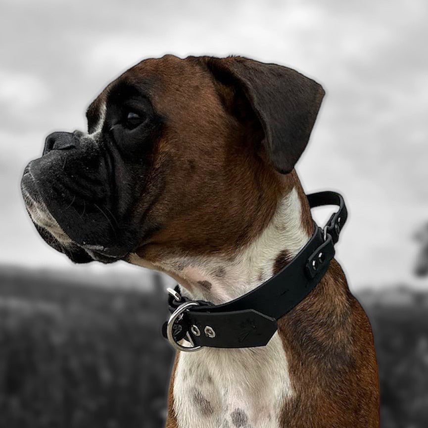Collier Poignée 38mm