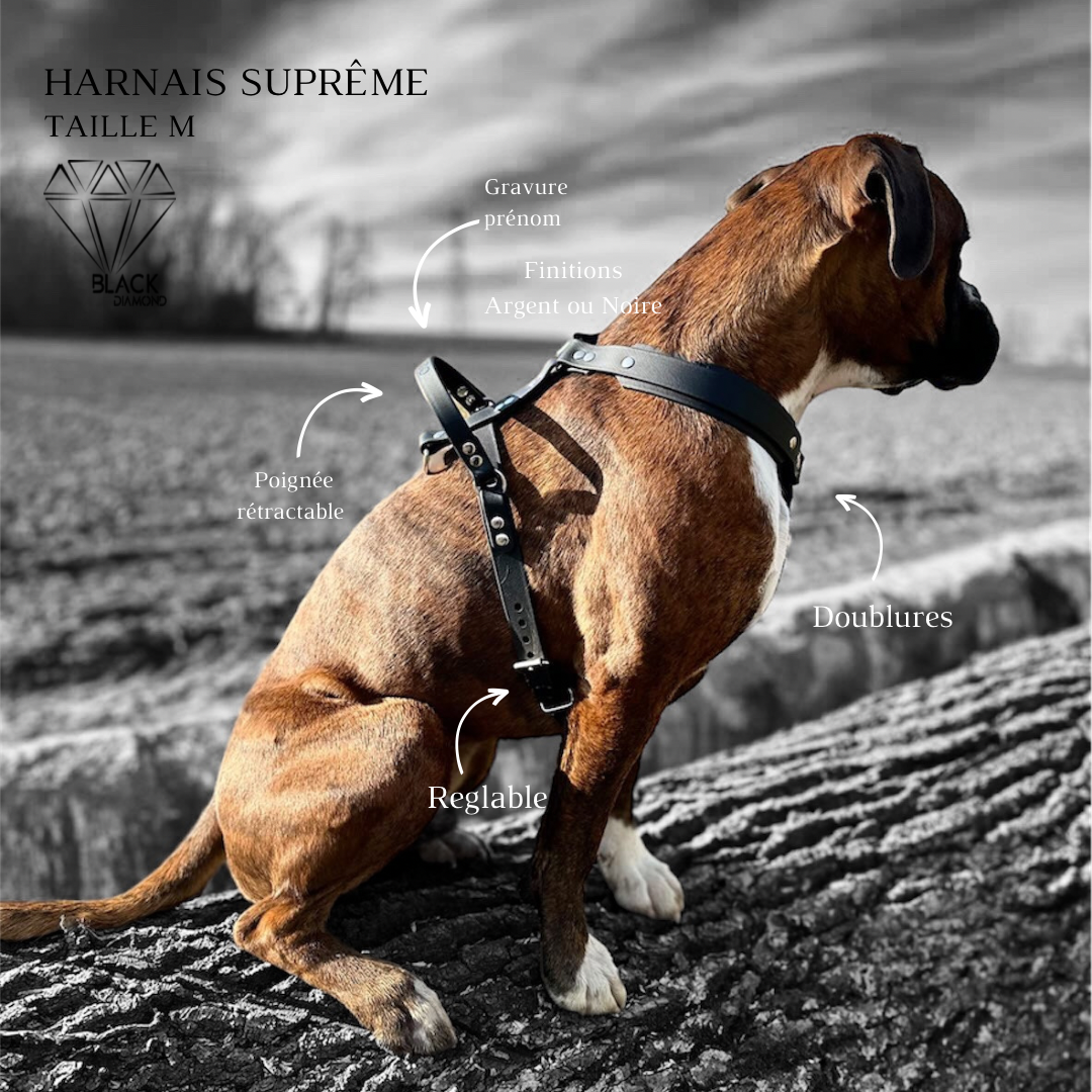 Harnais Suprême Maxi