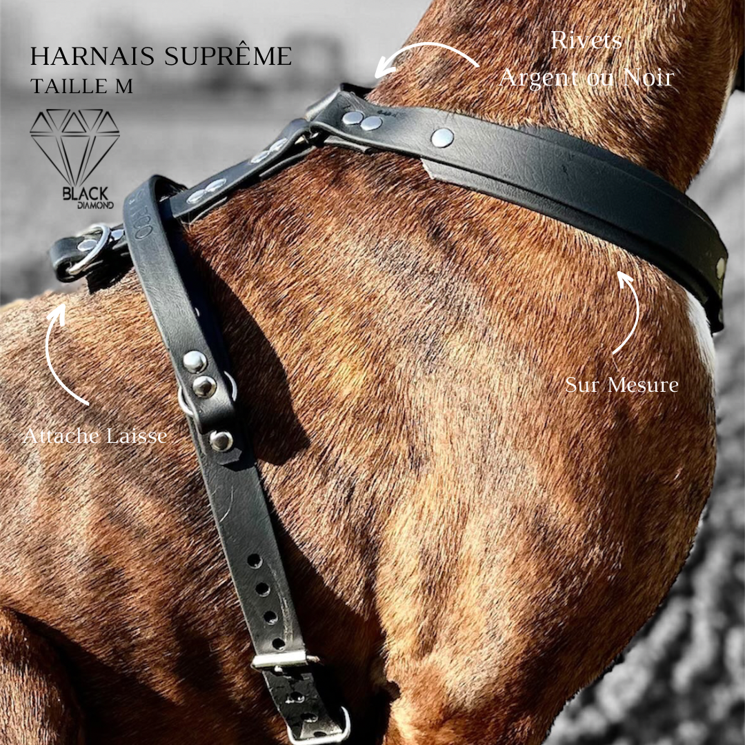 Harnais Suprême Maxi