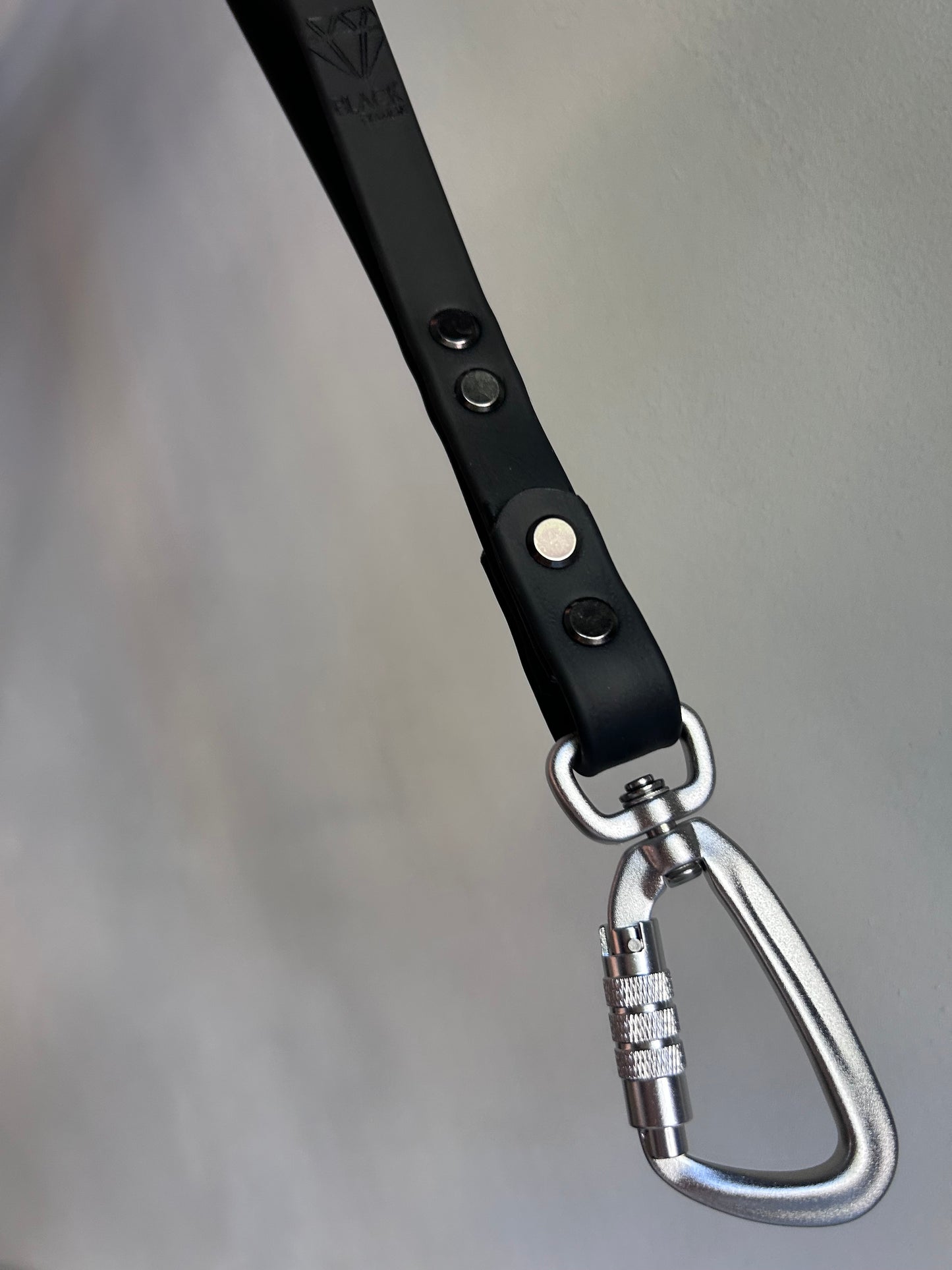 Shorty Lock