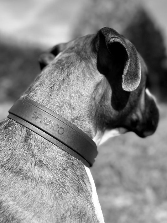 Martingales Diamond