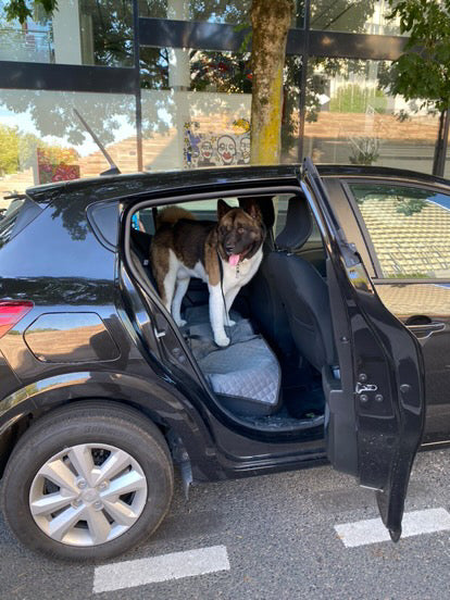 Ceinture de sécurité