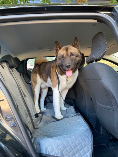 Ceinture de sécurité