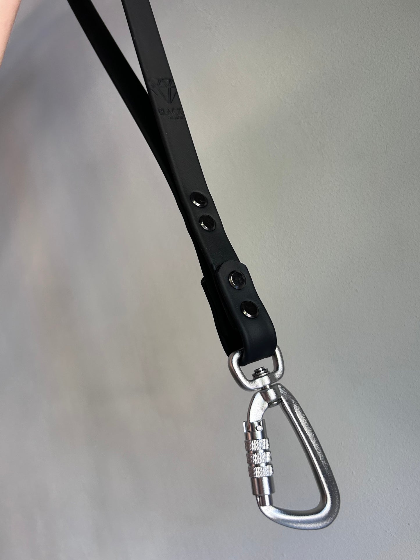 Shorty Lock