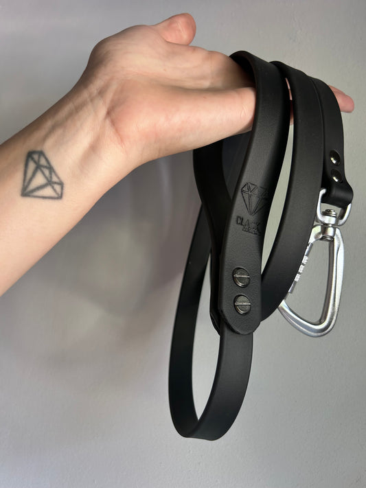 Laisse Lock