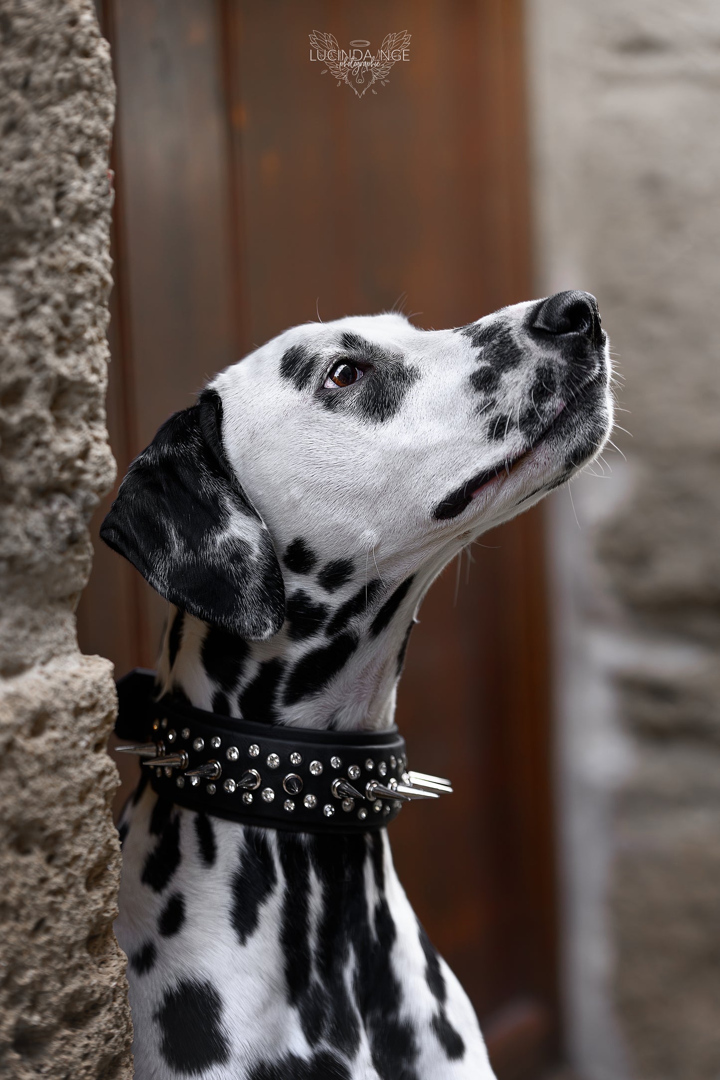 Spike