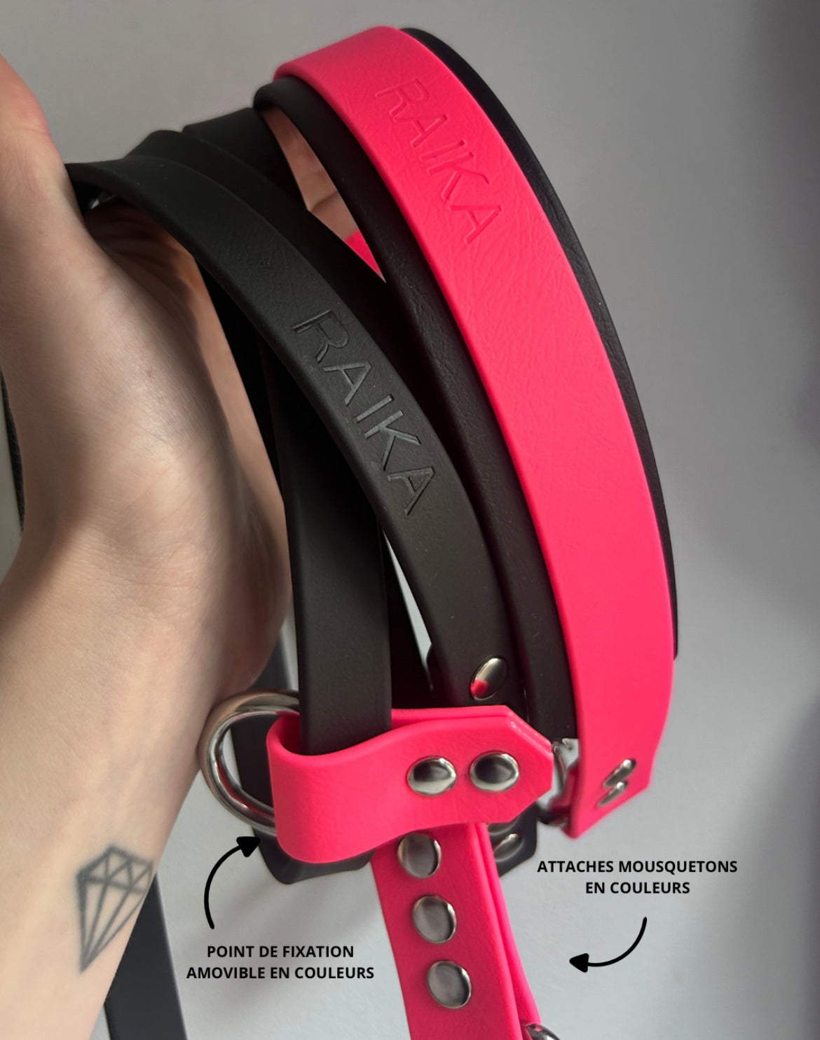 Laisse 3 points Colors