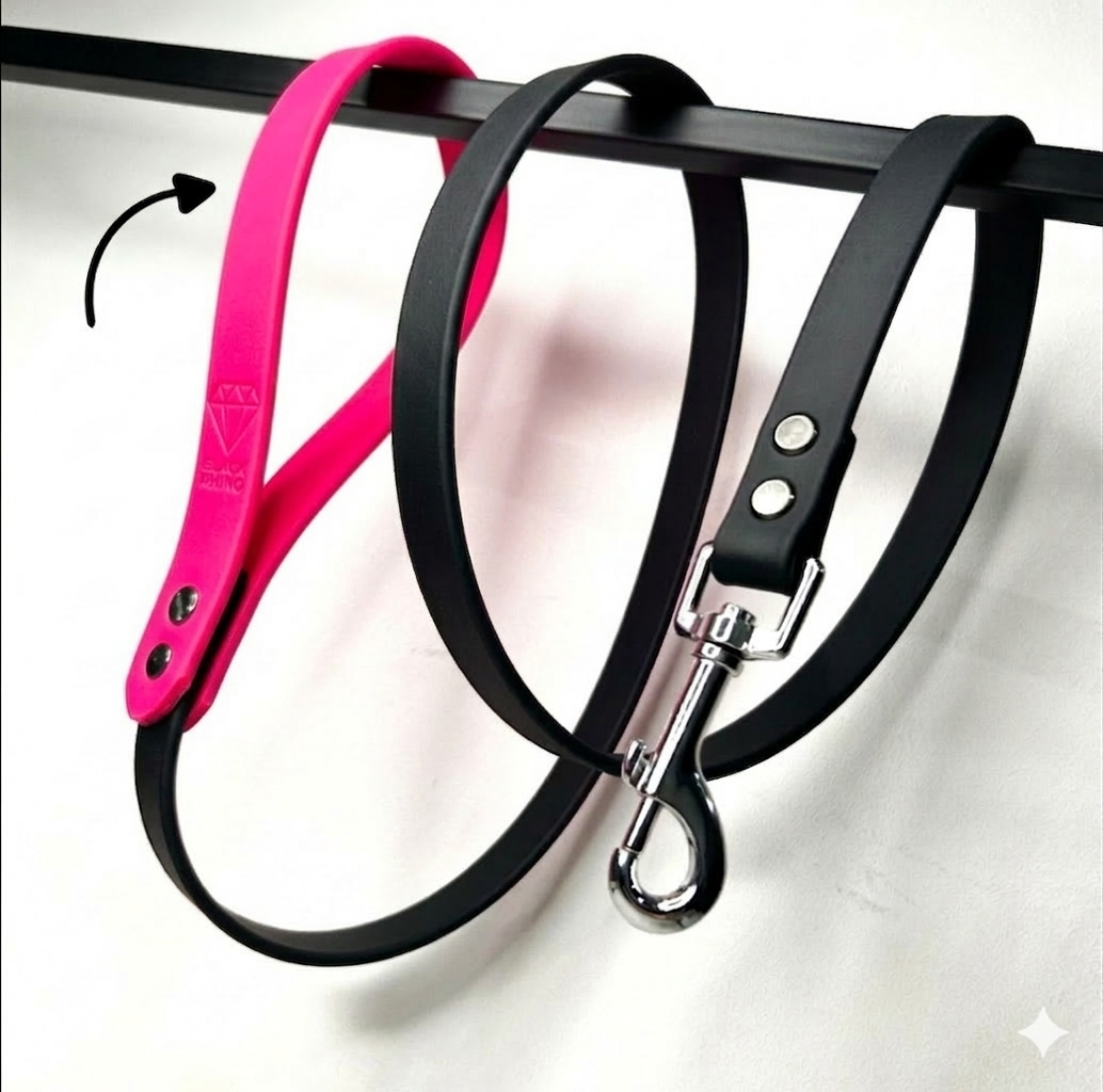 Laisse Classique Colors